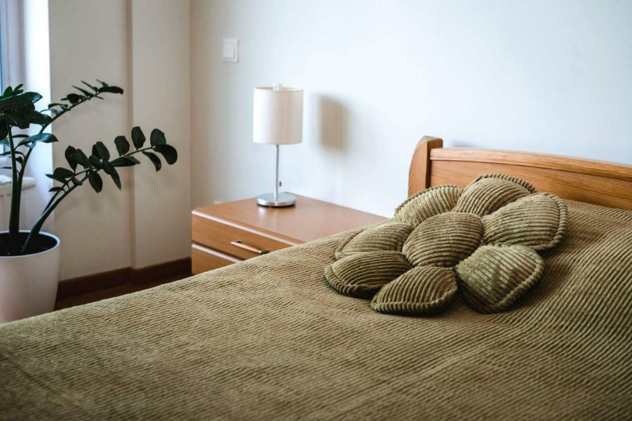 New Apartament Very Close To The City Centre Vilnius Ngoại thất bức ảnh