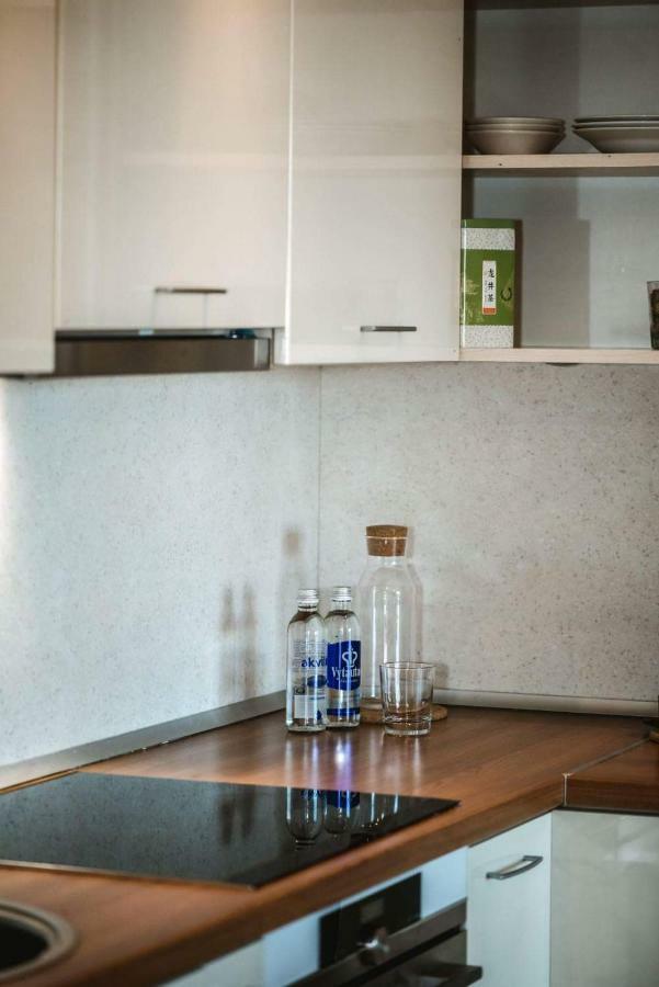 New Apartament Very Close To The City Centre Vilnius Ngoại thất bức ảnh